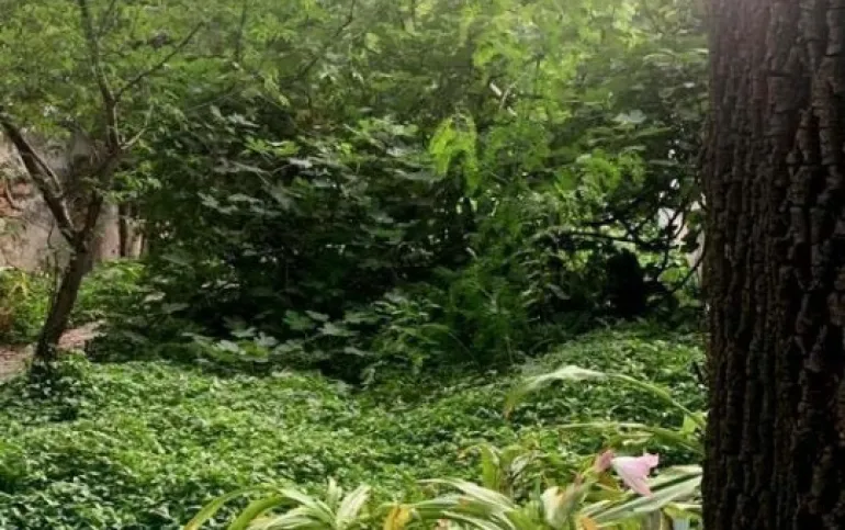 Terreno en Venta en Col. Anahuac $17,950,000