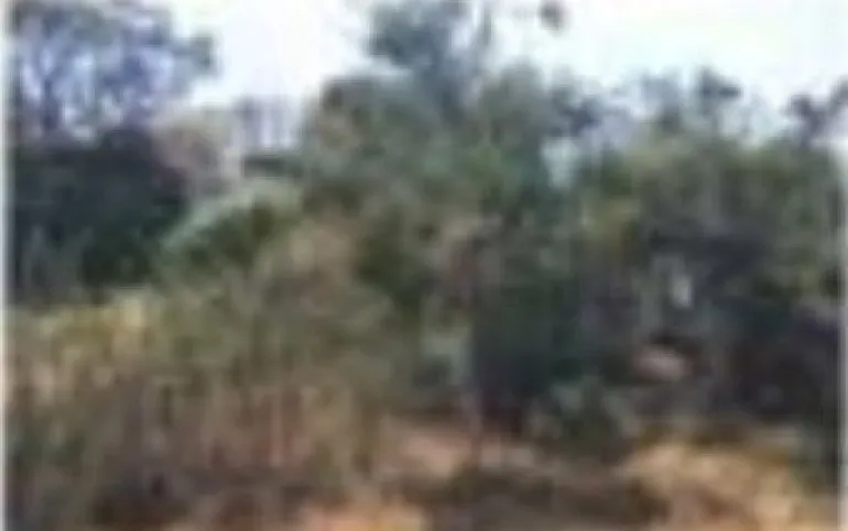 TERRENO EN VENTA EN XOCHIMILCO