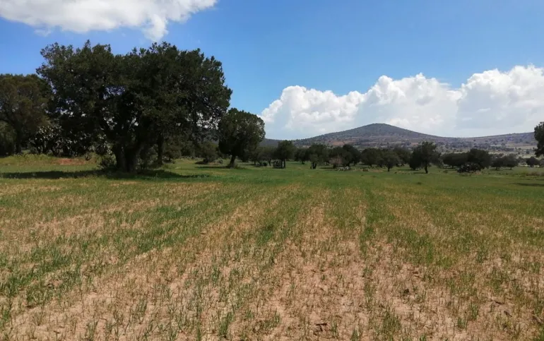 Terreno Estratégico en Carretera México-Tuxpan en Zempoala Hidalgo
