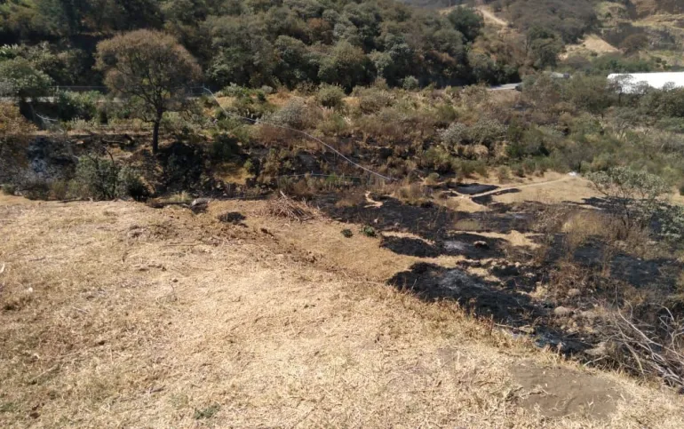 SE VENDEN  LOTES A ESPALDAS DE BOSQUE REAL