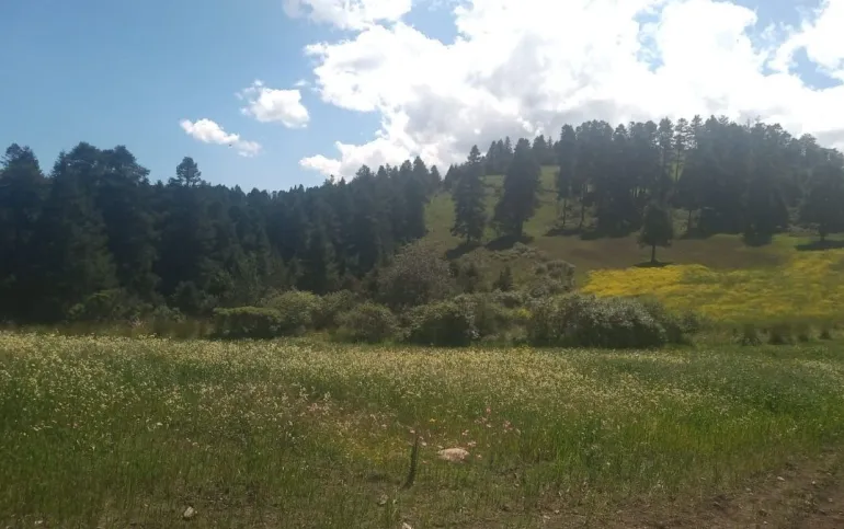 SE VENDE TERRENO A UN COSTADO DE RESERVA SANTA FE Y DE LA MARQUESA