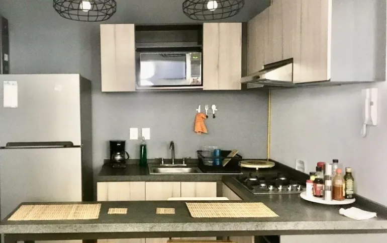 Hermoso Departamento con terraza Roma Norte