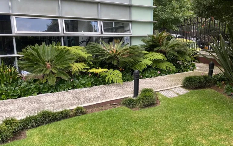 DEPARTAMENTO RESIDENCIAL BOSQUES DE LAS LOMAS VERDES