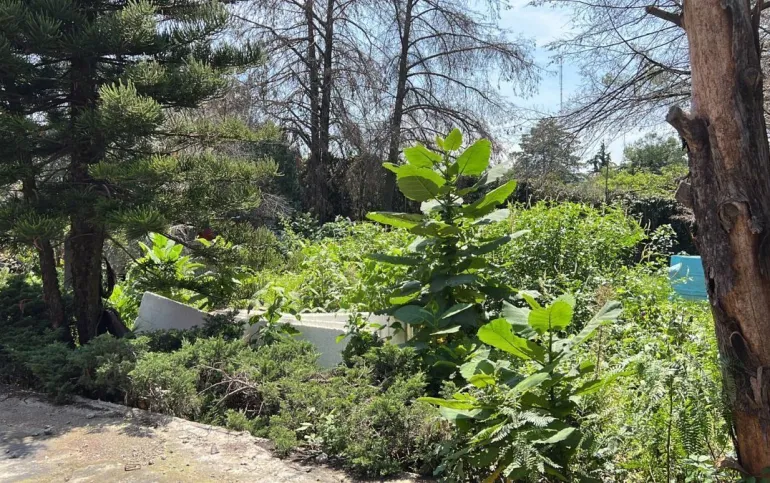 Terreno para 4 casas  San Jerónimo Lídice. (parte baja)