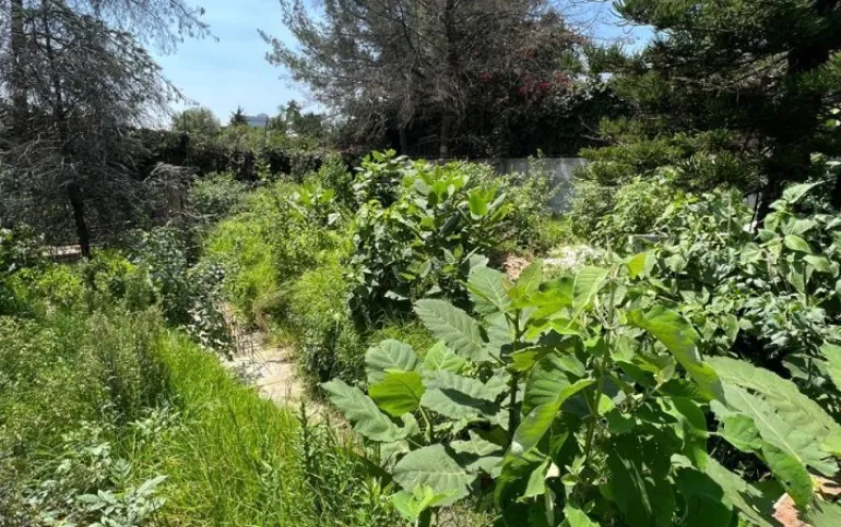 Terreno para 4 casas  San Jerónimo Lídice. (parte baja)
