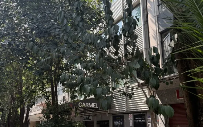 Se vende edición con local comercial  col Roma