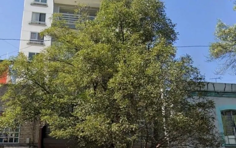 Venta departamento en Lago Mayor