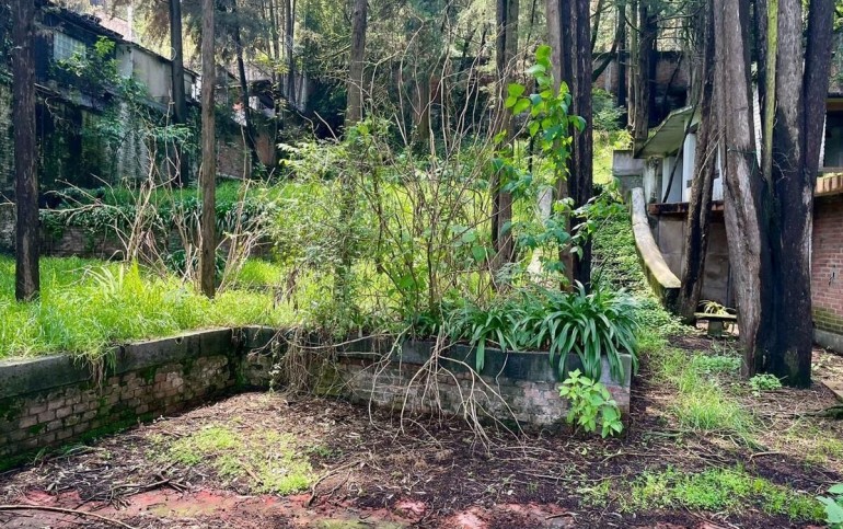 DOBLE FRENTE DOBLE OPORTUNIDAD DESIERTO DE  LOS LEONES !