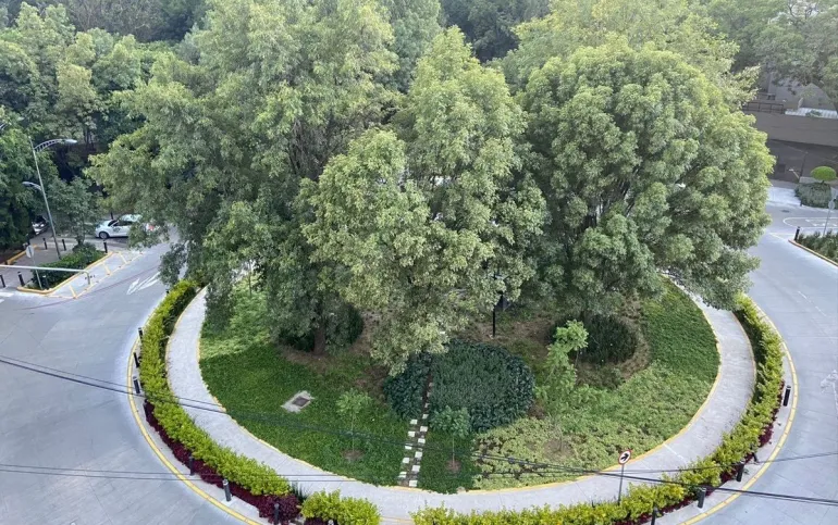 Departamento en Venta en Polanco Rubén Darío 45