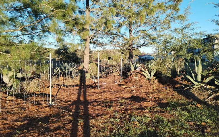 Terreno en venta en Huasca Hidalgo