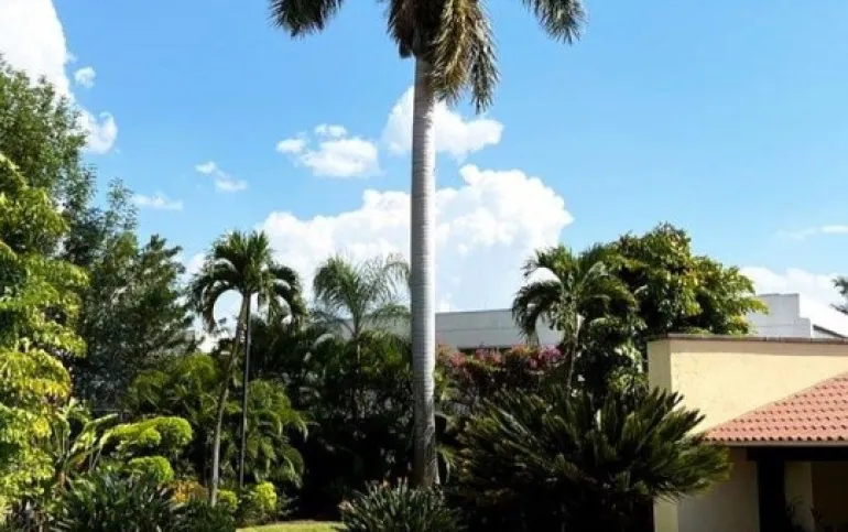 Venta Casa en Cuernavaca en Los Apantles