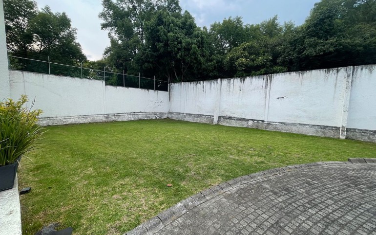 BARRIO DE LA CONCEPCION / Coyoacan