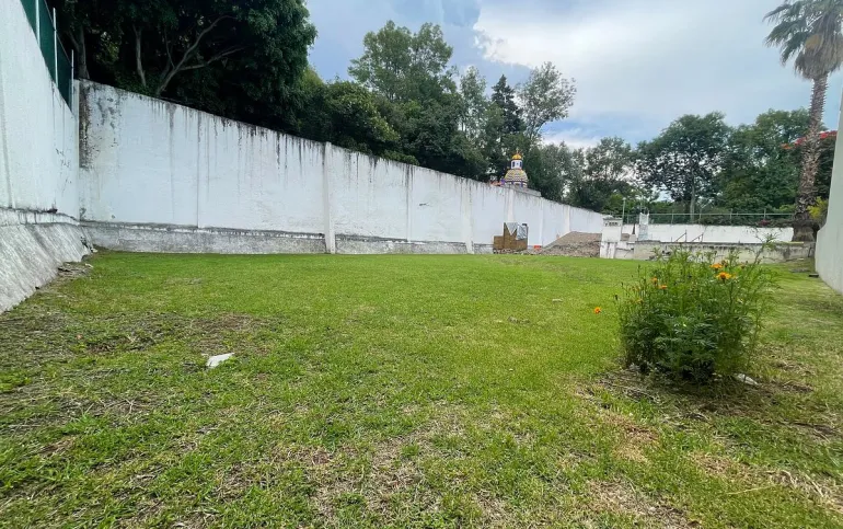 BARRIO DE LA CONCEPCION / Coyoacan