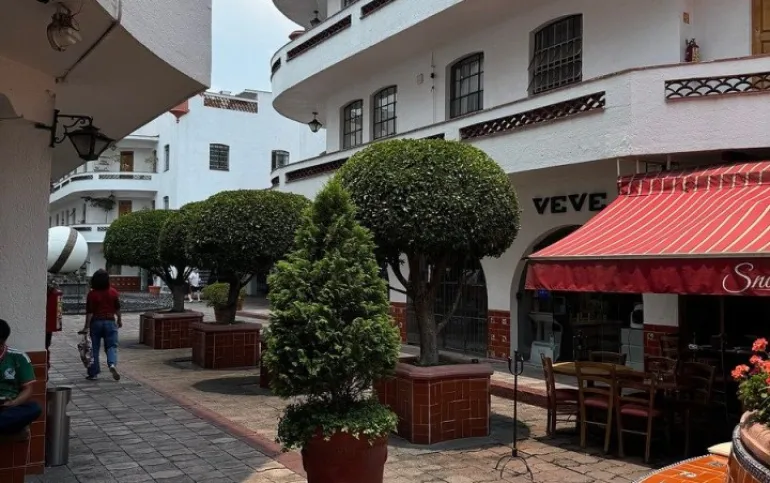 ESPECTACULAR LOCAL EN PASAJE POLANCO