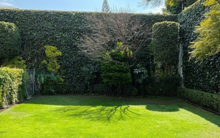 Hermosa casa en renta, en fraccionamiento cerrado, Jardines del Pedregal