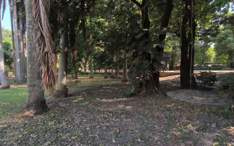 Compra el terreno y te llevas la casa de campo incluida