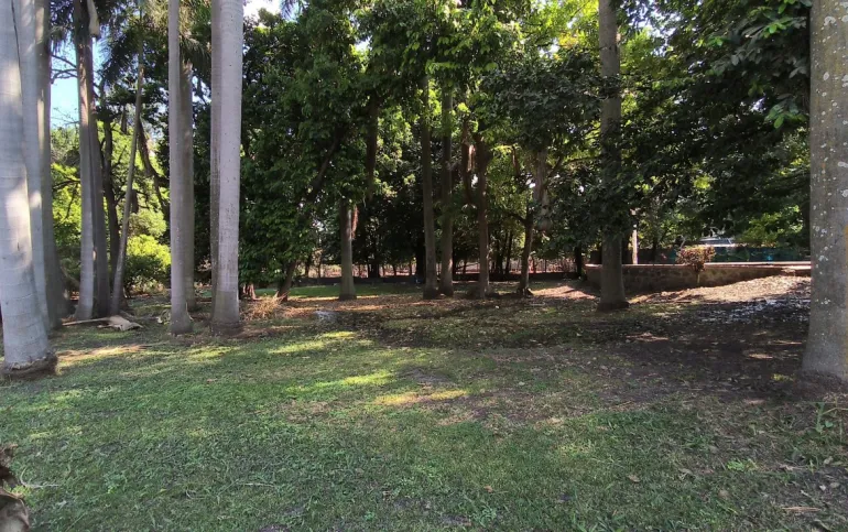 Compra el terreno y te llevas la casa de campo incluida
